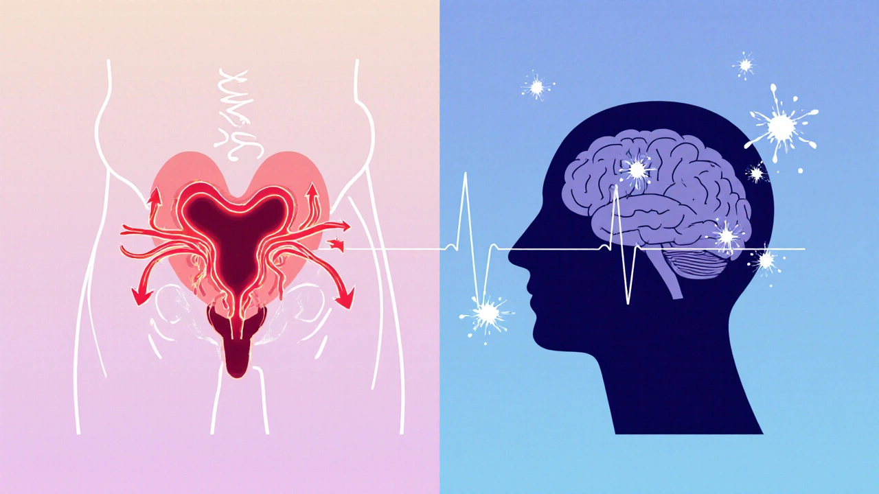 Illustrasjon av blodstrøm i penis og serotonin i hjerne i en delt scene.
