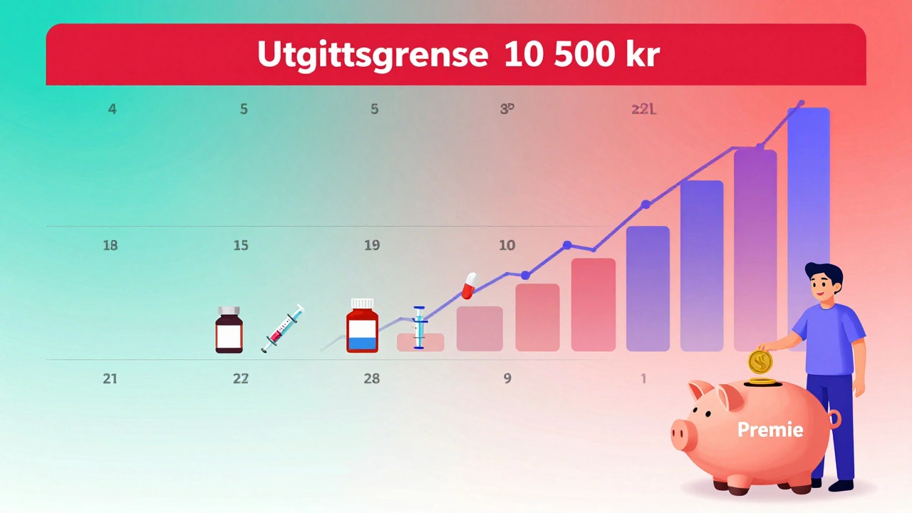 Kalender med økende utgifter som stiger mot en grense på 10 500 kroner i helsekostnader.